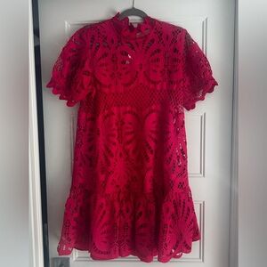 Elegant fushia Lace Dress with dtm liner